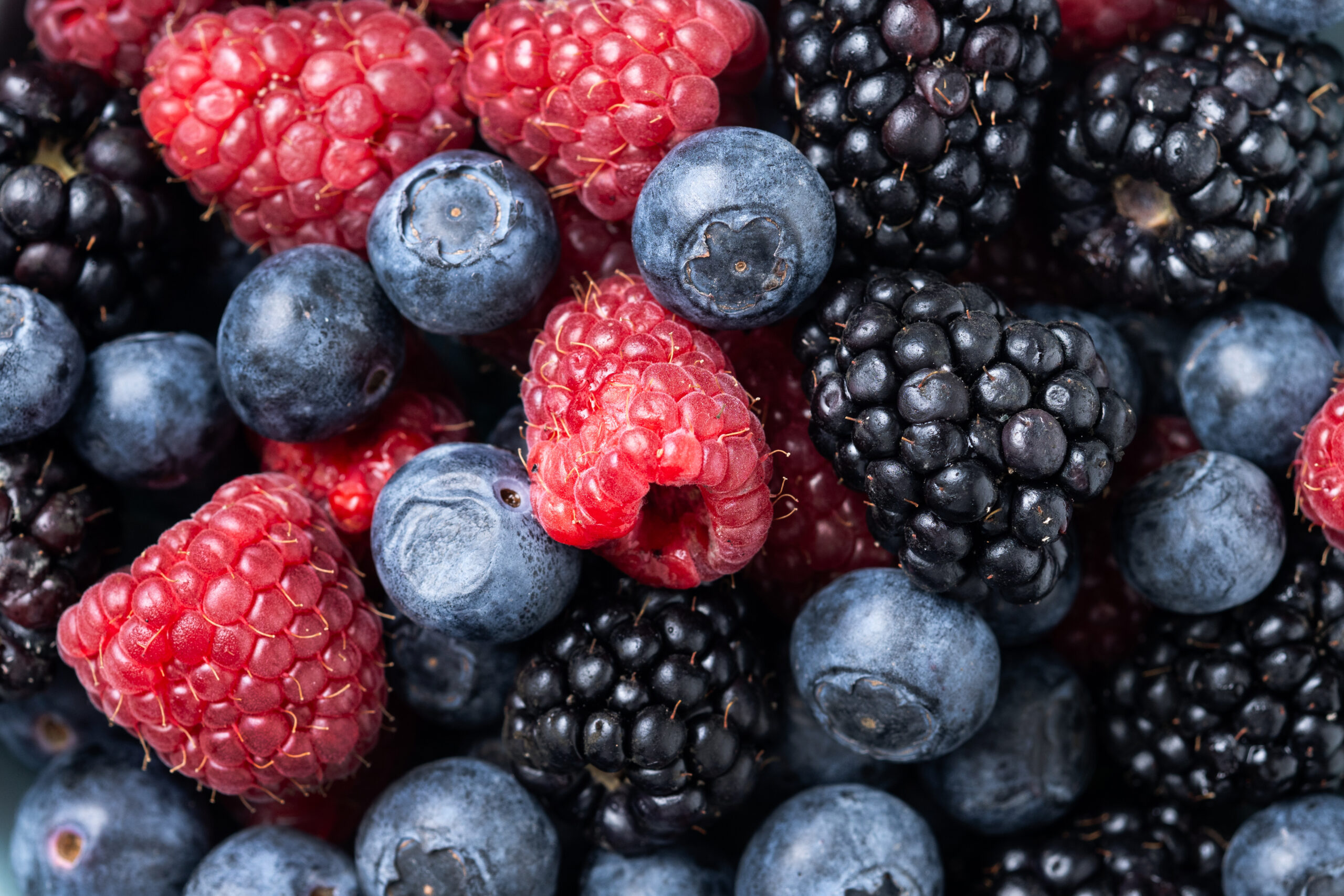 How to Store Fresh Berries: A Complete Guide to Keeping Them Fresh Longer