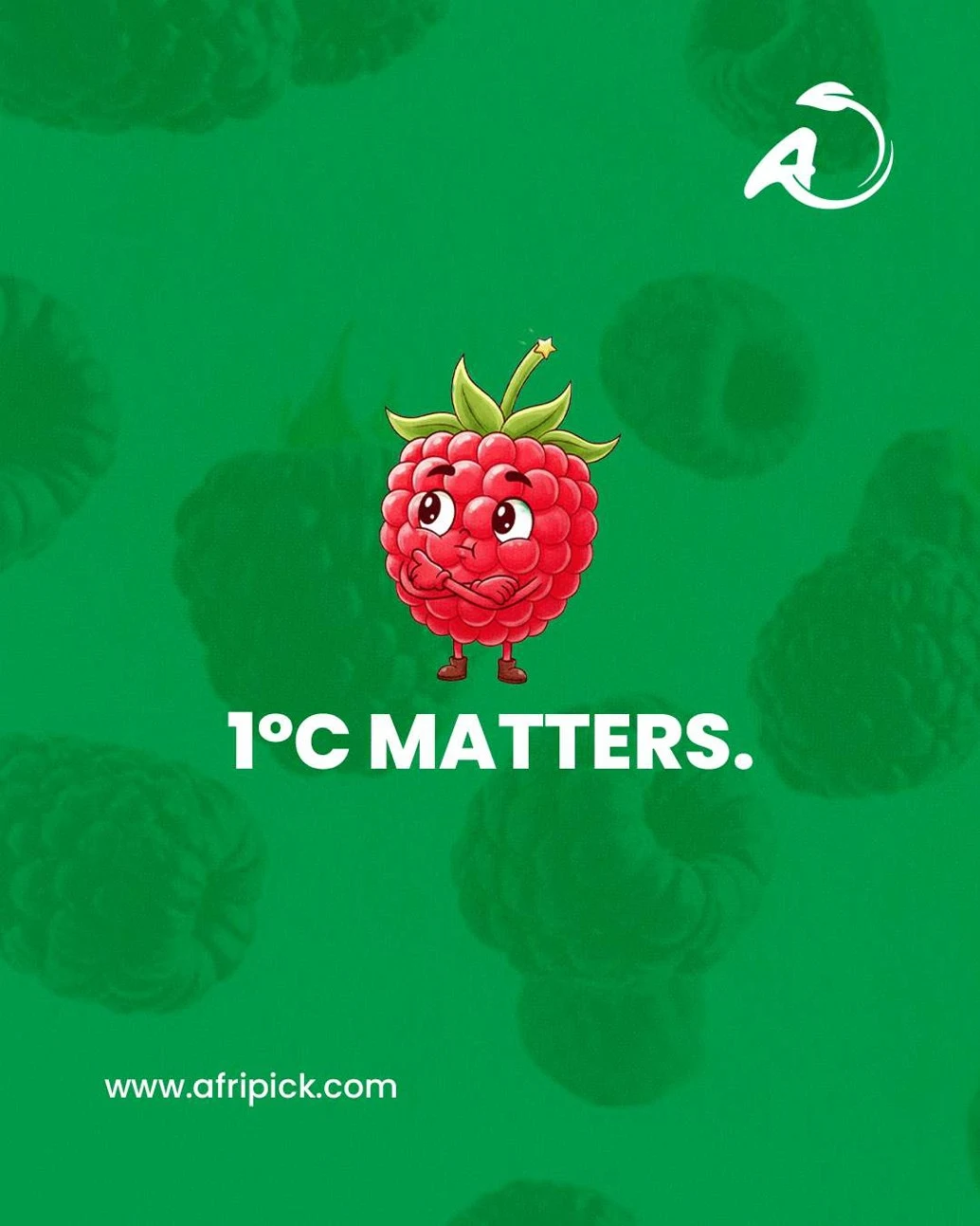Frutos rojos: frescura, rapidez y control de calidad — photo 4