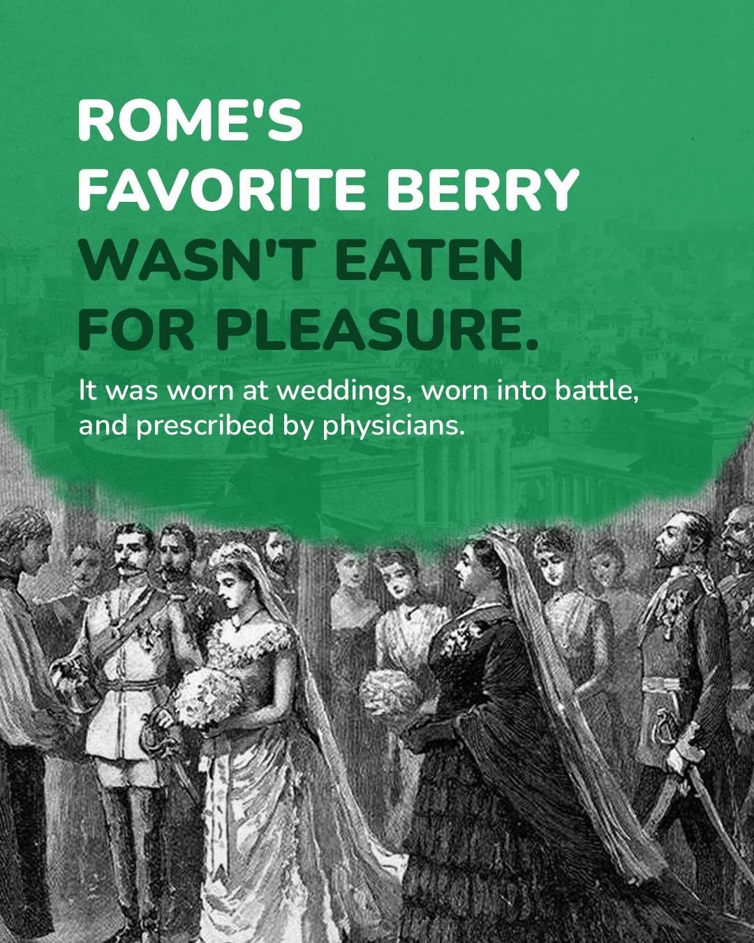 Berries, heritage and history