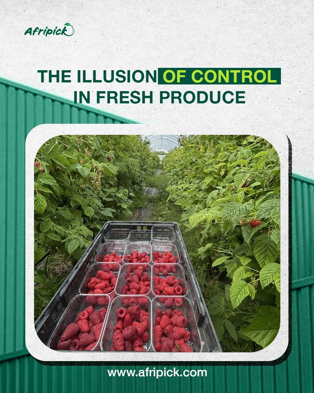 Fruits frais : s’adapter aux imprévus logistiques
