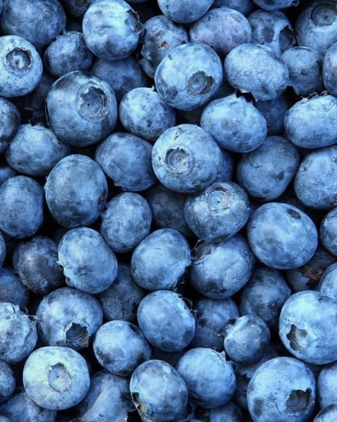 Afripick’s seasonal fruit calendar — photo 3