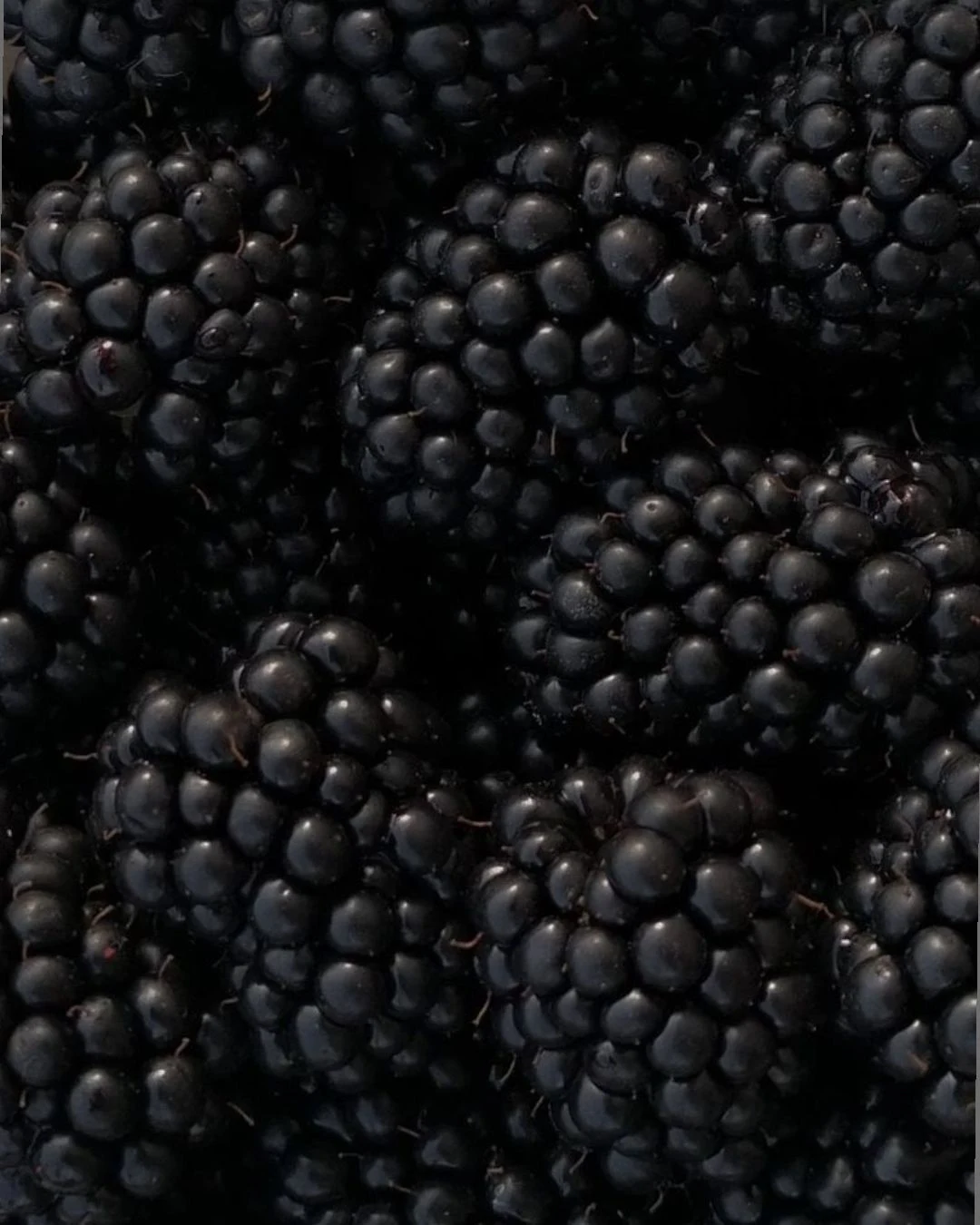 Afripick’s seasonal fruit calendar — photo 5