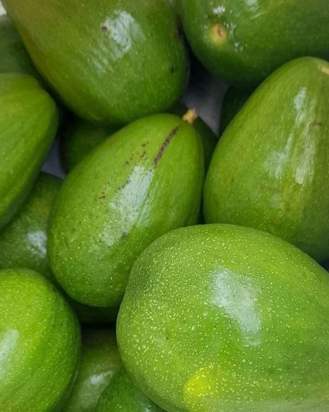 Afripick’s seasonal fruit calendar — photo 6