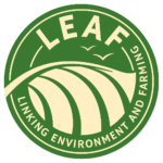 leaf-logo