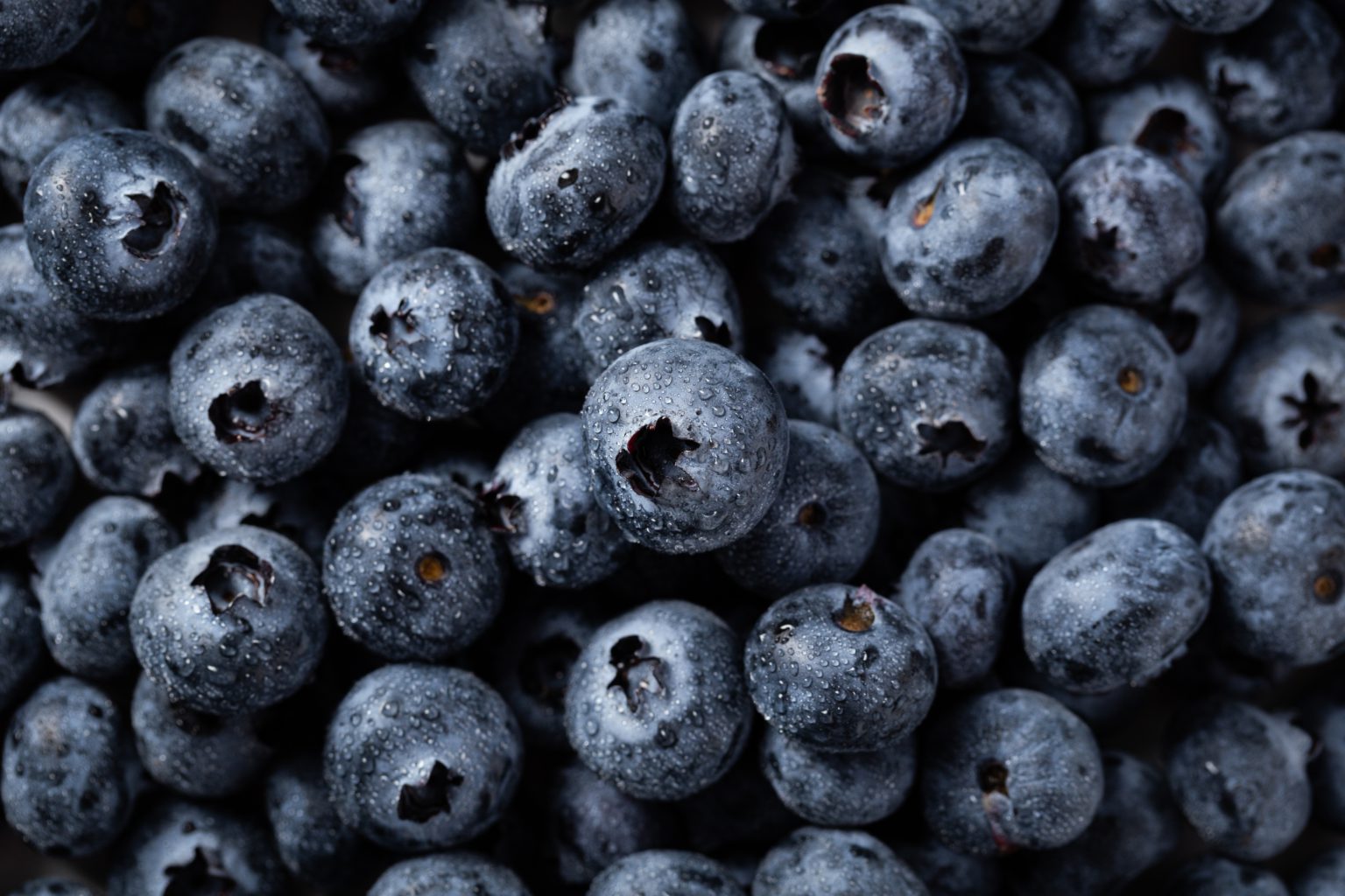 There are many variations of passages of Lorem Ipsum available, but majority have suffered teration in some form, by injected humour, or randomised words which don't look even slight believable. If you are going to use a passage of Lorem Ipsum.